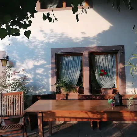 Double Apple Blossom Πανσιόν