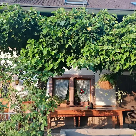 Double Apple Blossom Πανσιόν Schuttertal